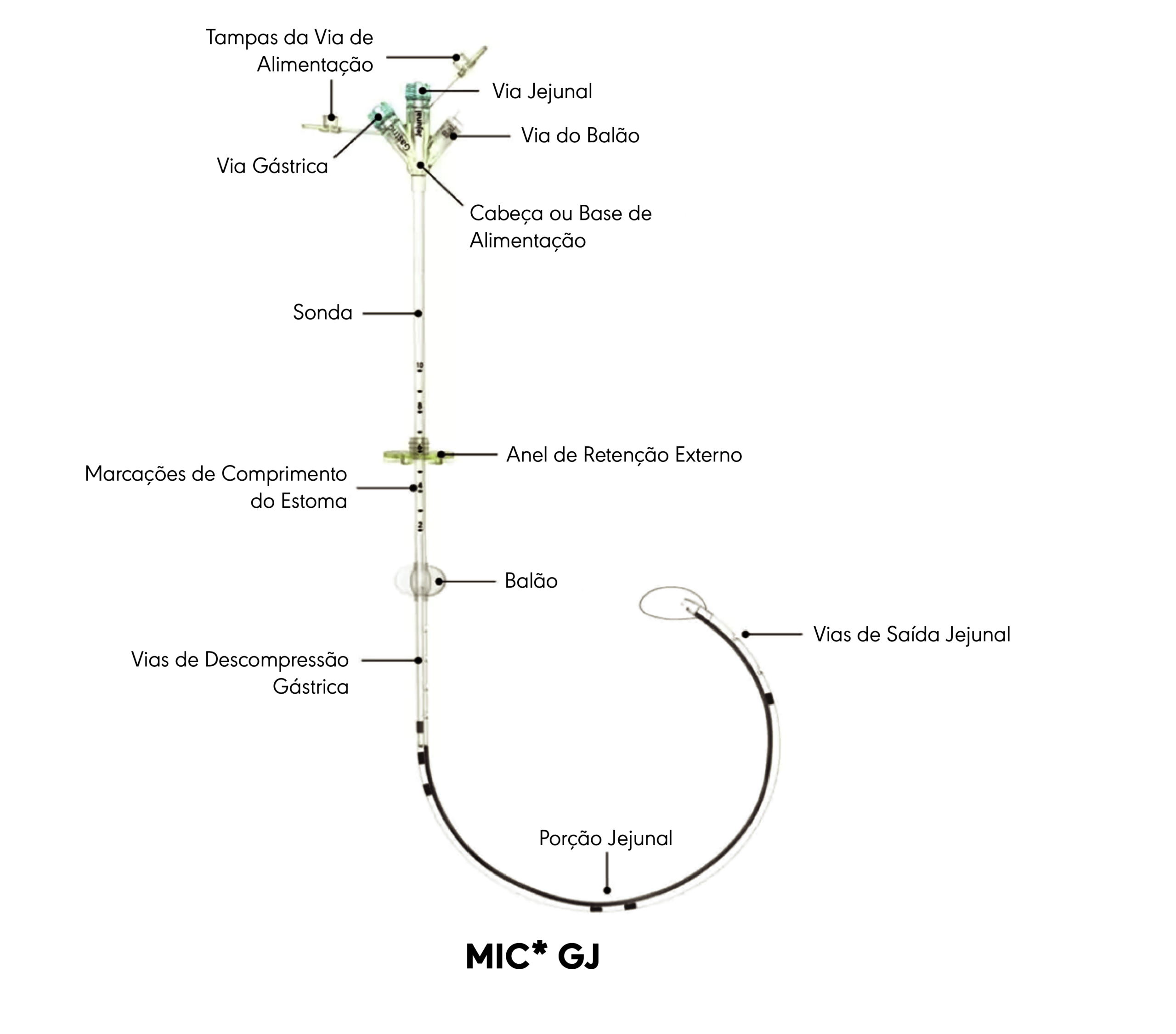 MIC* Diagrama do produto GJ