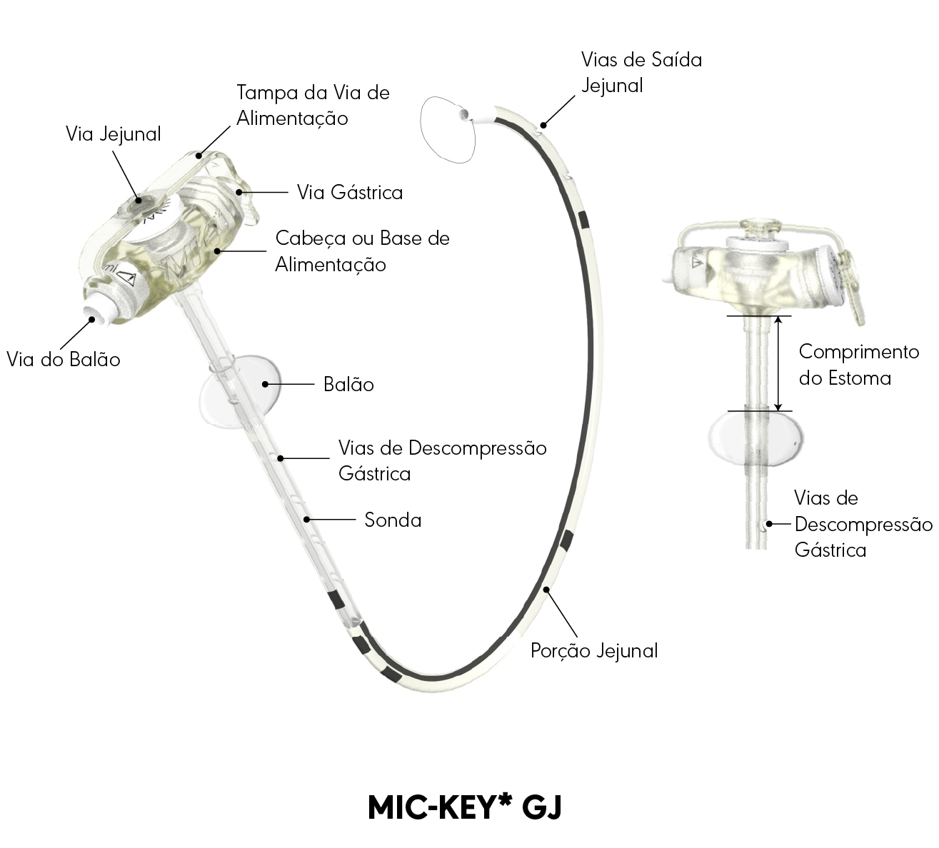 MIC-KEY* Diagrama do produto GJ