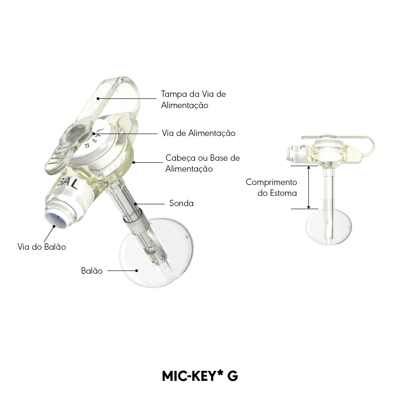 MIC-KEY* Diagrama do produto G
